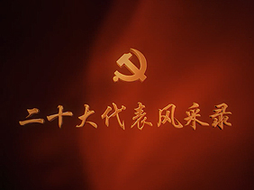 【二十大代表风采录】徐梦桃：为祖国拼金牌