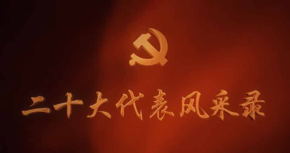 【二十大代表风采录】徐梦桃：为祖国拼金牌