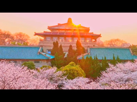 春已至花已开，盼疫散愿人安！