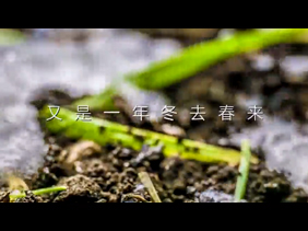 春天的脚步近了，你感受到了吗？