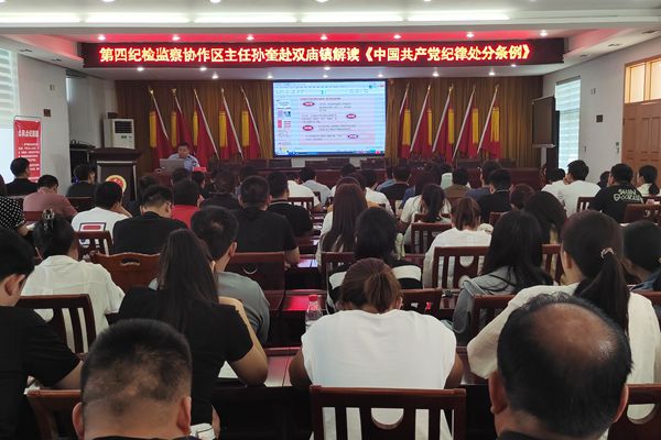 太和县双庙镇：深入开展党纪学习教育